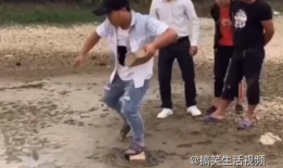 农村搞笑视频,农村搞笑视频大盘点