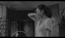 感人的视频,那些触动心灵的感人瞬间